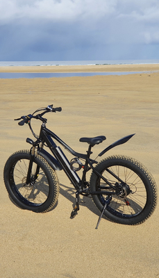 GPS 컴퓨터와 유압 브레이크 전기 살찐 자전거 해변 크루저 전기 자전거